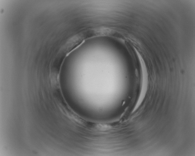 X0000066120429200603171758