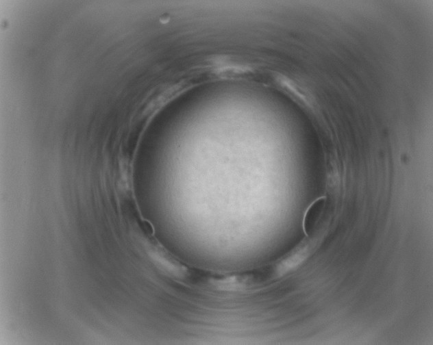 X0000066120430200603171758