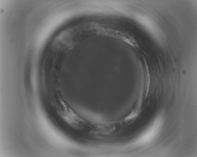 X0000066120431200603171758