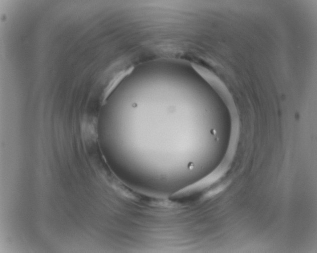 X0000066120432200603171758