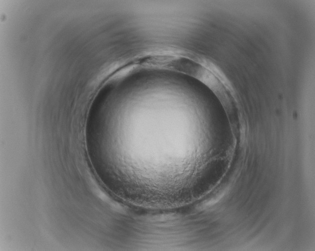 X0000066120433200603171758