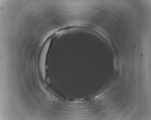 X0000066120434200603171758