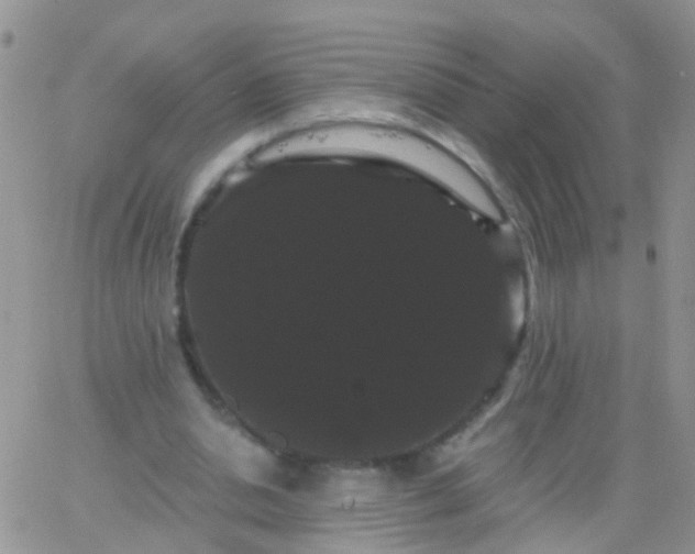 X0000066120438200603171758