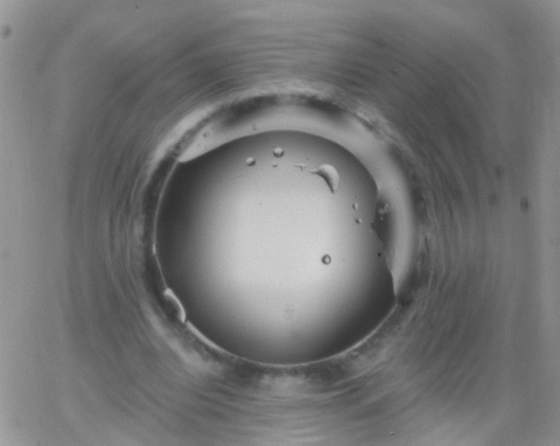 X0000066120440200603171758