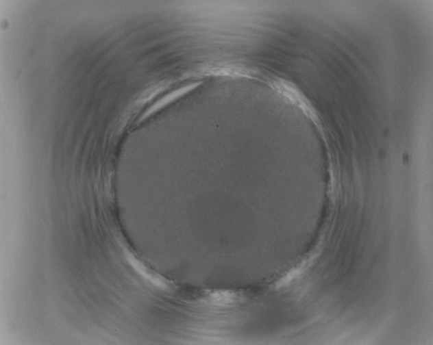 X0000066120441200603171758