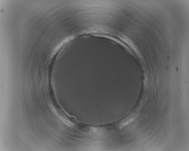 X0000066120442200603171758