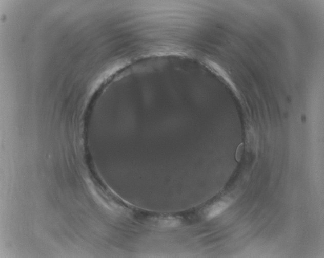 X0000066120443200603171758