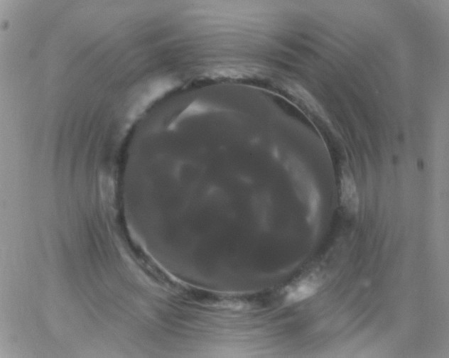 X0000066120444200603171758