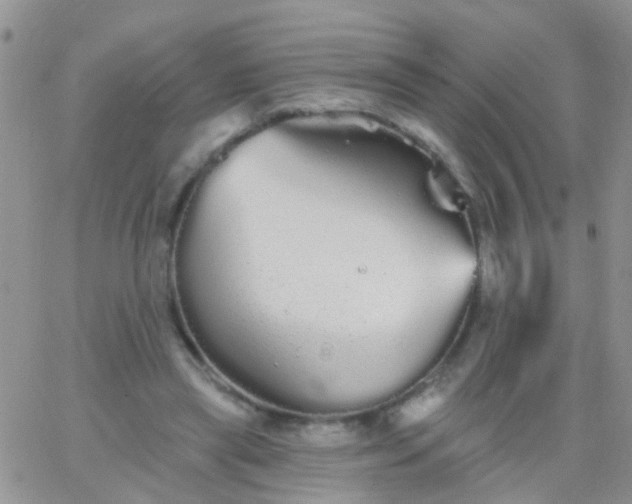 X0000066120445200603171758