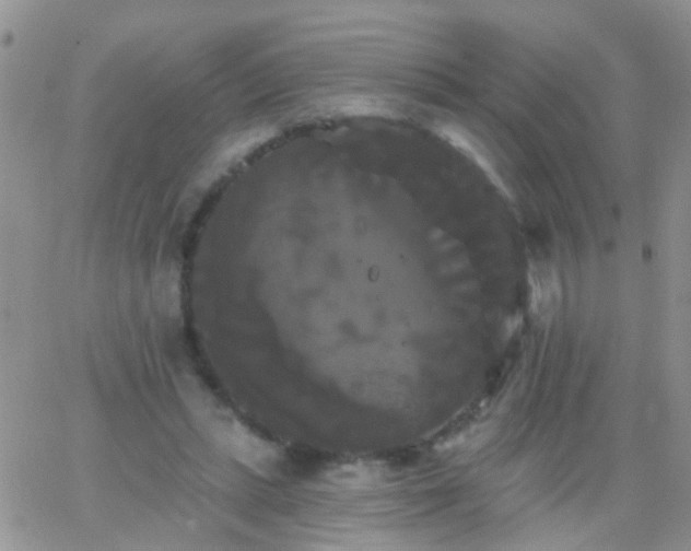 X0000066120447200603171758