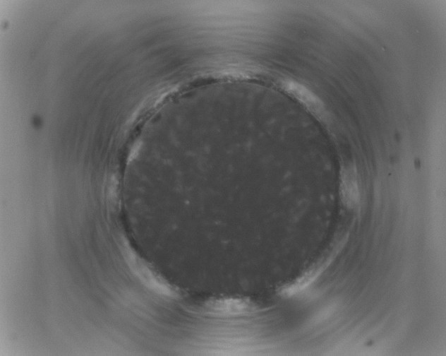 X0000066120449200603171758