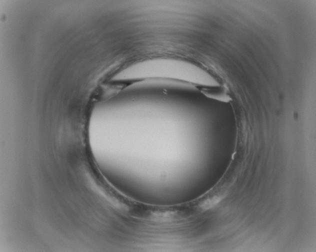 X0000066120450200603171758