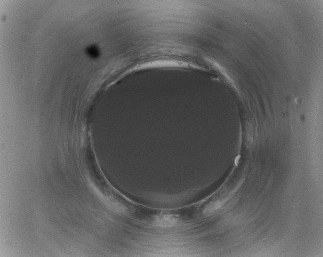 X0000066120451200603171758