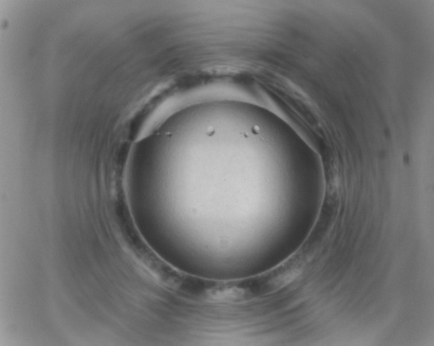 X0000066120452200603171758