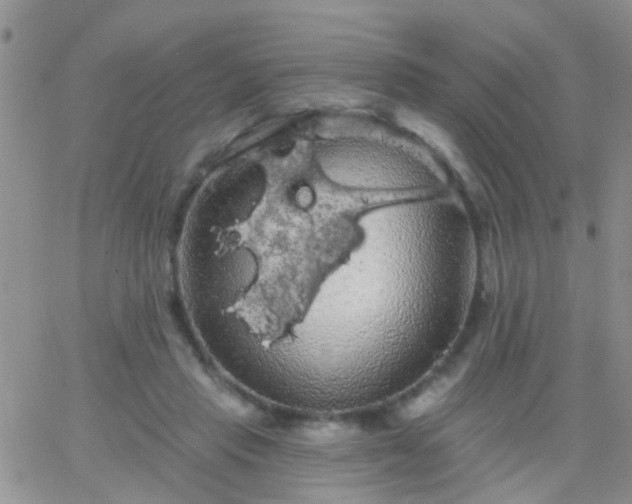 X0000066120453200603171758