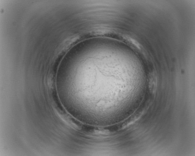 X0000066120455200603171758