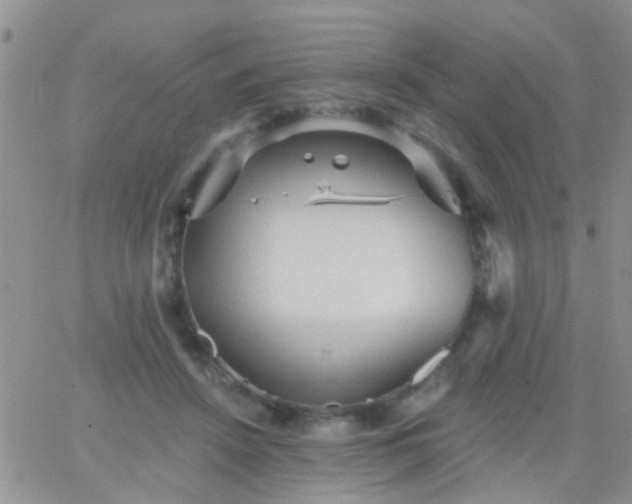 X0000066120456200603171758