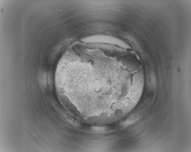 X0000066120457200603171758