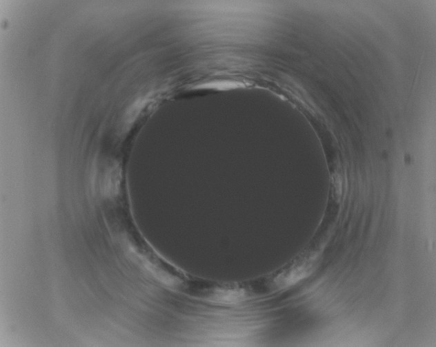 X0000066120458200603171758