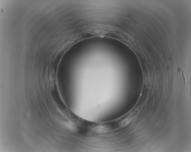 X0000066120460200603171758