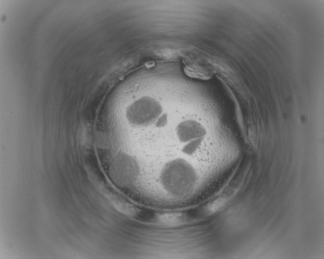 X0000066120461200603171758