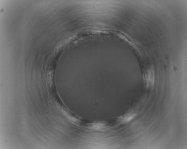 X0000066120462200603171758