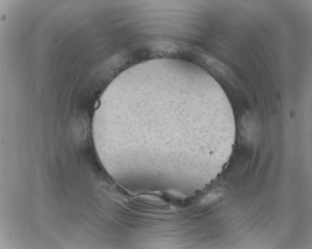 X0000066120463200603171758