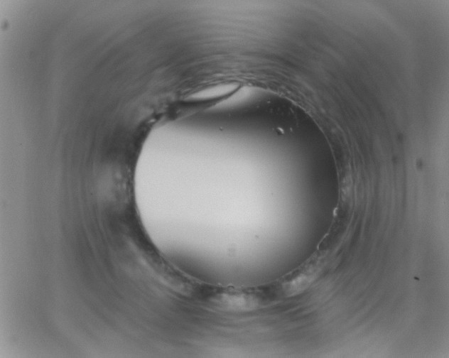 X0000066120464200603171758