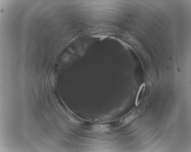 X0000066120465200603171758