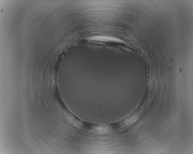 X0000066120466200603171758