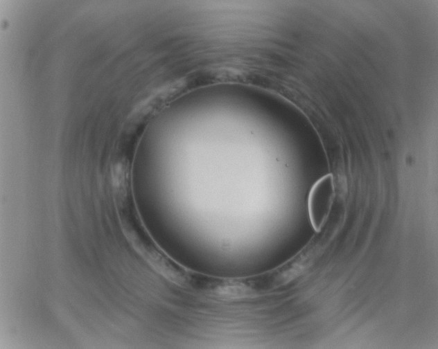 X0000066120468200603171758