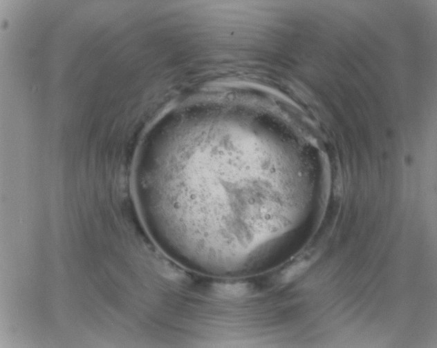 X0000066120469200603171758