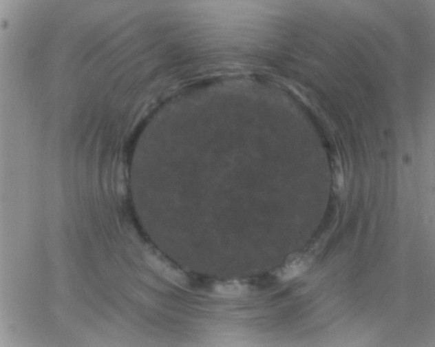 X0000066120470200603171758