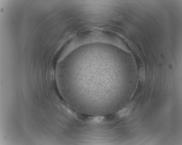 X0000066120474200603171758