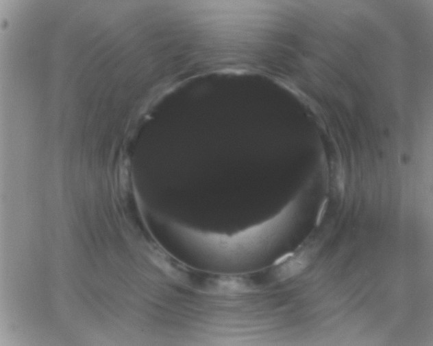 X0000066120475200603171758