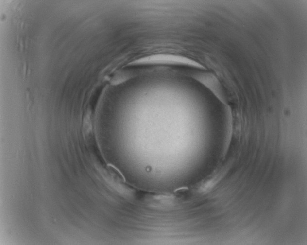 X0000066120478200603171758