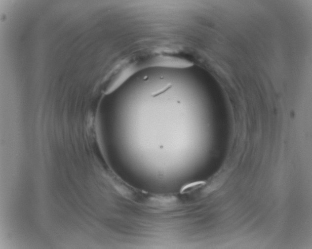 X0000066120480200603171758