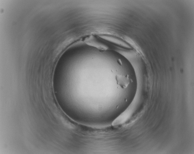 X0000066120481200603171758