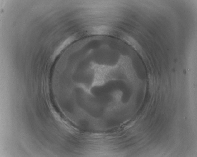 X0000066120482200603171758