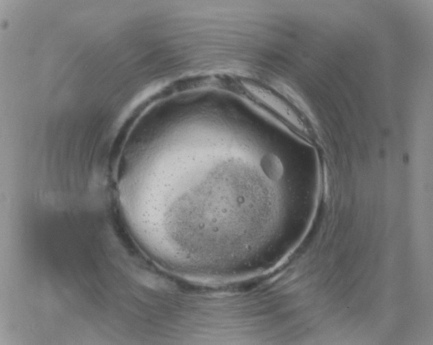 X0000066120483200603171758