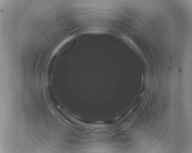 X0000066120484200603171758