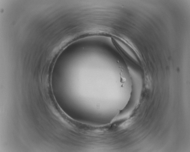 X0000066120485200603171758