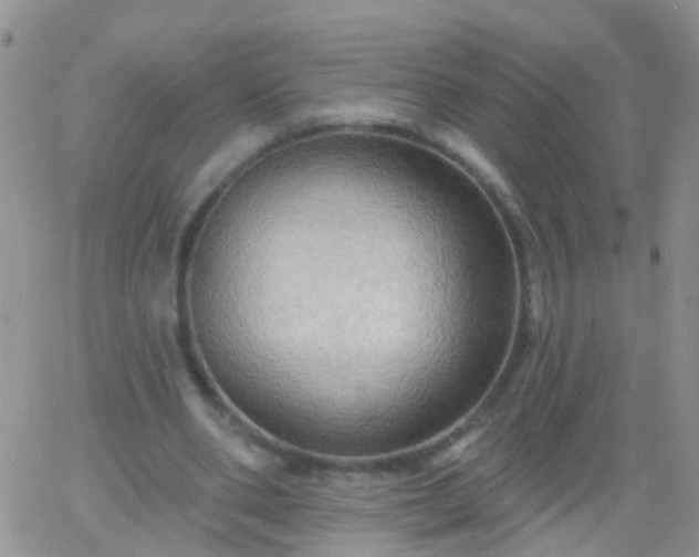 X0000066120486200603171757