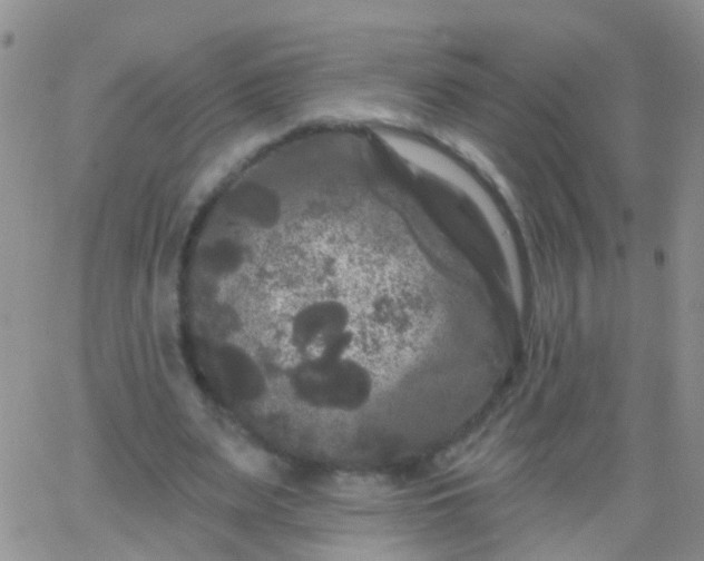 X0000066120487200603171757