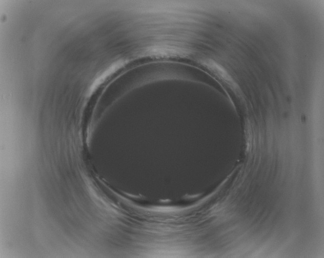 X0000066120488200603171757