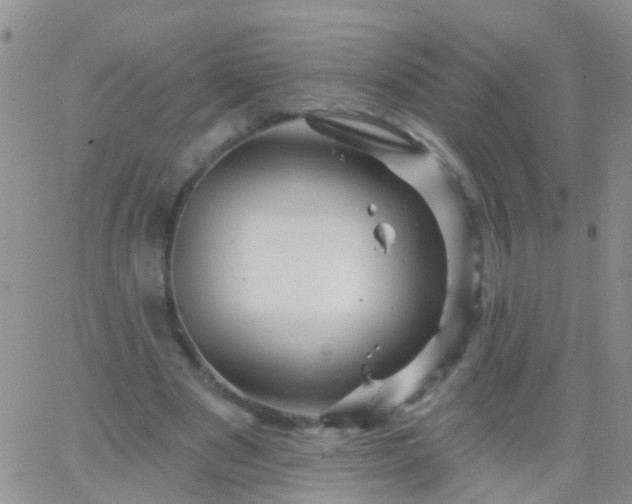 X0000066120489200603171757