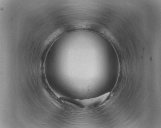 X0000066120490200603171757