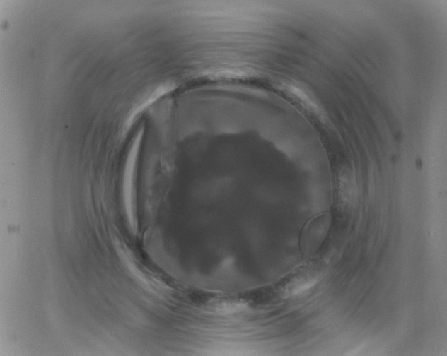 X0000066120491200603171757