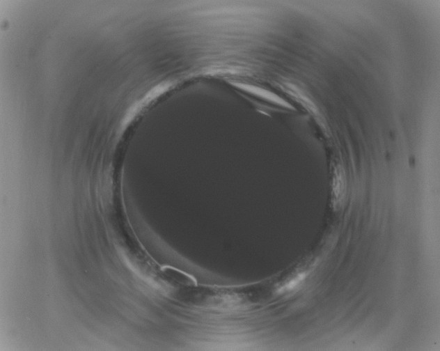 X0000066120492200603171757