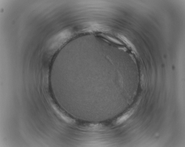 X0000066120493200603171757